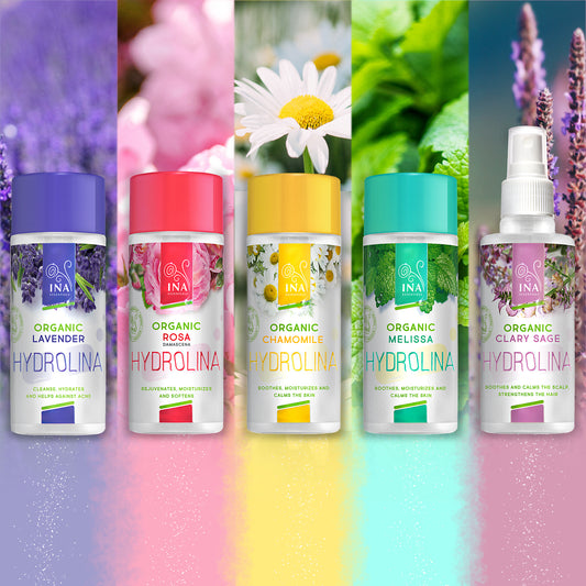 How to use InaEssentials products