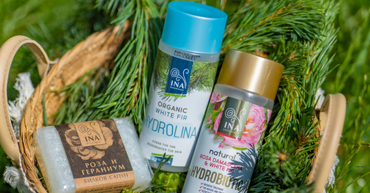 Natural solution for dark spots and hyperpigmentation - InaEssentials RoutINA
