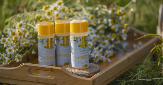 Chamomile Matricaria chamomilla and Organic Chamomile Water Hydrolina