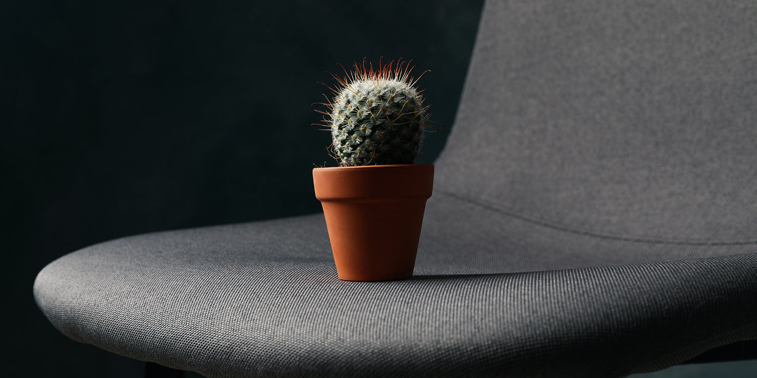 Hemorrhoids – everything you need to know | InaEssentials