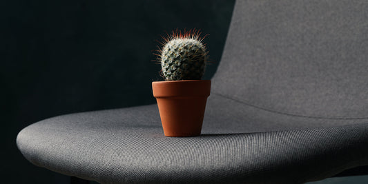 Hemorrhoids – everything you need to know | InaEssentials